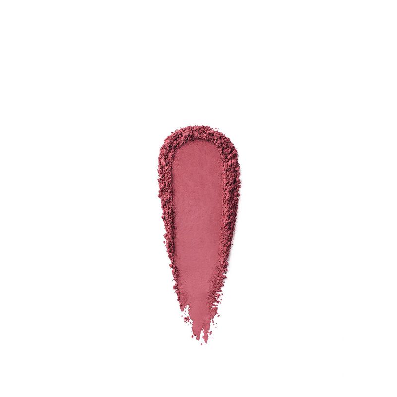 Bobbi Brown Powder Blush image number 41